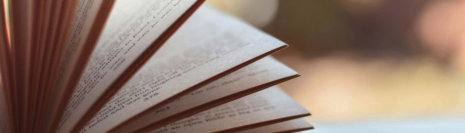 novelacontemporanea